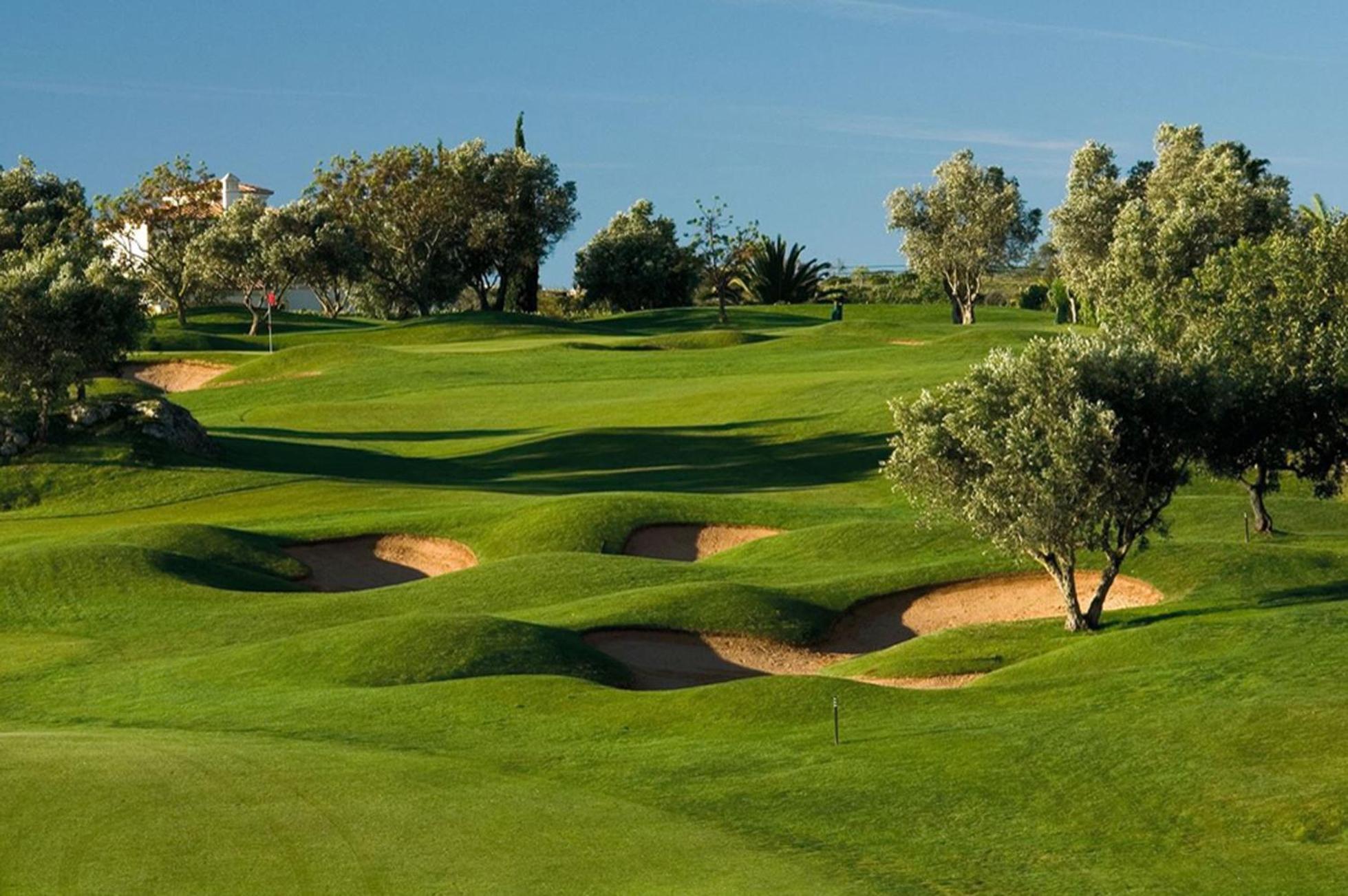 Perfect Golf & For 8 People Estombar